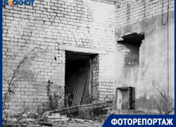 Окраины города Волжского превратились в хоррор