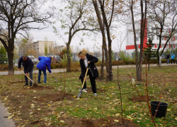 В Волжском облагородили участок близ больницы имени Фишера