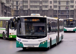 Волжские автобусы покорят Москву и Тольятти