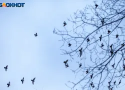 Не стоит принимать важных решений: астрологический прогноз для волжан