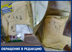 Волжанка купила спред с плесенью