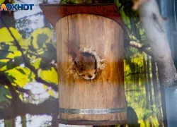 Волжан ждет жаркое воскресенье: прогноз погоды