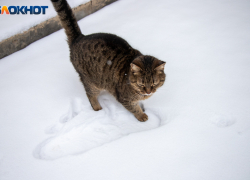 Мощный холодный фронт принесет рецидив зимы в Волжский