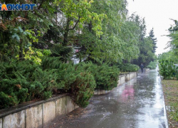 Дождливые выходные ожидают жителей Волжского: прогноз погоды