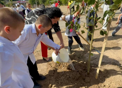 В Волжском высадят тысячи деревьев и кустарников