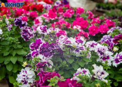 Сегодня важно действовать по правилам: гороскоп на 24 апреля