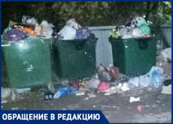 «ЭкоЦентр» забыл о своих обязанностях? Волжские дворы погрязли в свалках