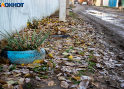 Отсутствие солнца и буря: прогноз погоды в Волжском