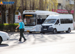 ГАИ Волжского перешла на усиленный режим работы из-за рейда «Автобус»