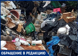 В Волжском страдают от соседства с мужчиной, разводящим кур и гусей