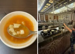 «Собачьей похлебкой» кормят застрявших в ОАЭ россиян: откровения волжанки, попавшей в западню 