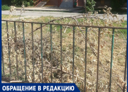 "Спилили и бросили, а это пожароопасно",- волжанка