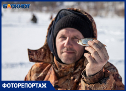 В Волжском спустя семь лет прошла «Зимняя рыбная фишка»