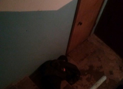 36-летний волгоградец погиб на ступеньках подъезда 