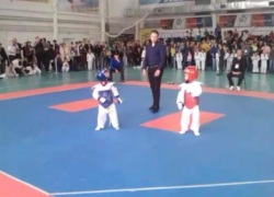 Открытый международный фестиваль по тхэквондо состоялся в Волжском