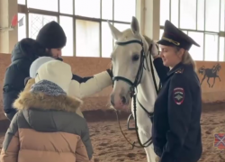 Копыта, лапы и подарки: в кавалерийском городке Волжского служебные животные принимали детей