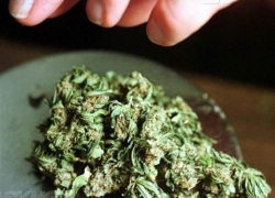 Драгдилеру из Волжского грозит 15 лет заключения за 100 граммов марихуаны