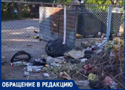 В Волжском решили развести крыс: волжане жалуются на полную антисанитарию во дворах города