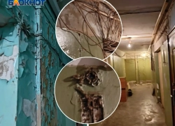 «В Припяти комфортней»: в Волжском показали шокирующее состояние жилого фонда изнутри