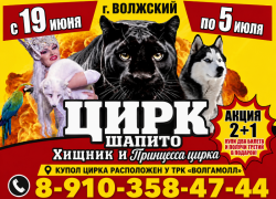 Билеты в цирк по акции 2+1