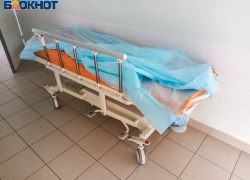 Волжанам напомнили, как защититься от ГЛПС и предотвратить заражение хантавирусами