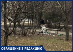 Волжский утопает в собачьих отходах