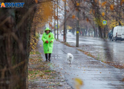 Дождь с грозой прогнозируют в Волжском