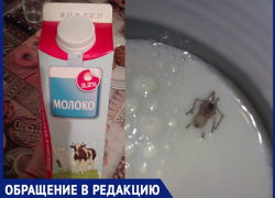 «В молоке обнаружила паука»,- волжанка Екатерина Григорьева