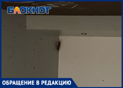 «Узнав об УК люди отказываются покупать квартиру»: жители несколько лет борятся с тараканами