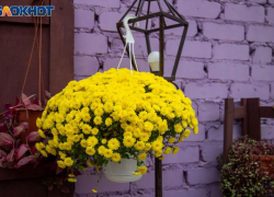 День Белой зимы: какие приметы, обычаи и запреты связаны с Аввакумовым днем