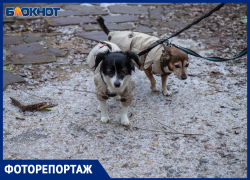 Первый снег в Волжском: город окутала предновогодняя сказка