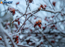 -20 градусов и солнце: прогноз погоды в Волжском