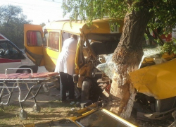 В центре Волгограда произошло ДТП с маршруткой: есть пострадавшие