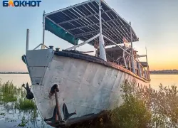 Оранжевый уровень опасности: в Волгоградской области засуха и жара бьют рекорды