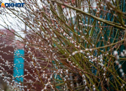 Выходные не порадуют жителей Волжского солнцем