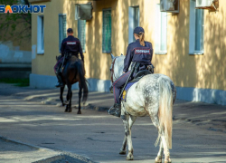 Сорвал с шеи золотой крестик, чтобы купить спиртное: безработного рецидивиста задержали под Волгоградом 