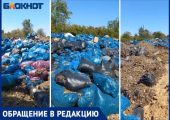 Волжанка обнаружила огромную нелегальную свалку на острове Зеленый: видео
