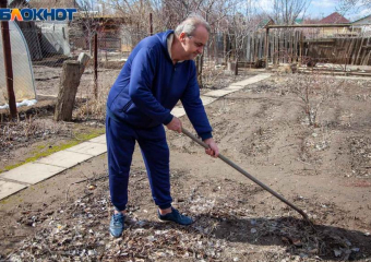 Время сеять! Список культур для посадки на участке в апреле