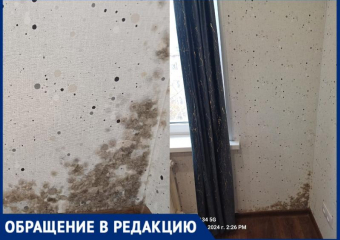 Замерзаем в квартире и дышим плесенью, – волжанка о проблемах с УК