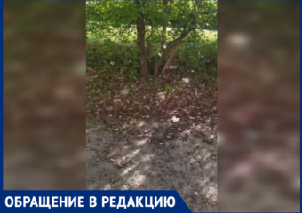 Заброшенная остановка в Волжском погрязла в окурках