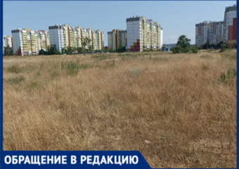 «Загорится за секунду»: гигантский пустырь в центре 28-го микрорайона Волжского держит жителей в страхе