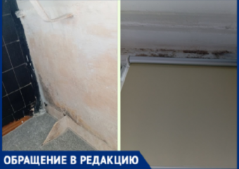 В Волжском пенсионерка 10 лет не может добиться сноса козырька, разрушающего ее квартиру