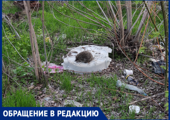 Зеленая зона превращается в свалку: волжане бьют тревогу