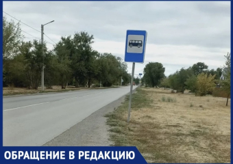 «Стоишь по колено в траве»: волжанка пожаловалась на остановку на острове Зеленый