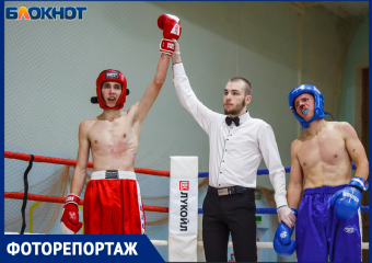 В Волжском прошел региональный турнир по кикбоксингу. Какую роль этот вид спорта играет для города?