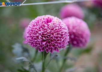 Солнце выглянет из-за туч в воскресенье: погода в Волжском