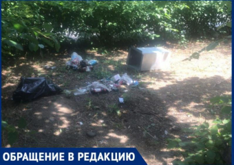 «Въезд в город загажен мусором», - волжанка рассказала о «воротах» города