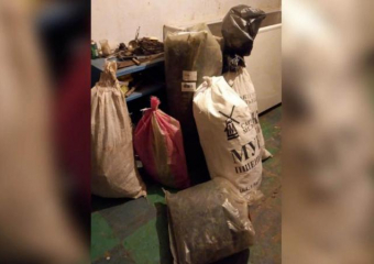 Наркоаграномы выращивали траву на болоте в Волгоградской области