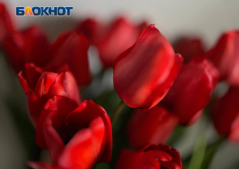 Как Волжский обогнал Петра I и подарил скифам символ любви