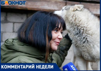Категорически против предложения эвтаназии для бездомных собак выступила хозяйка волжского приюта